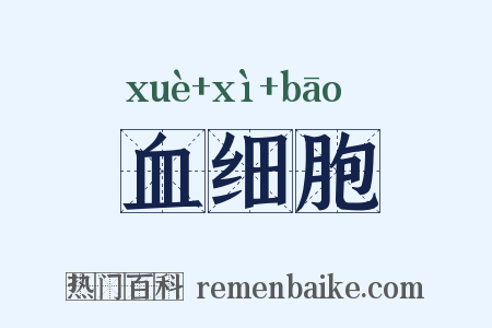 血细胞是什么意思的图片